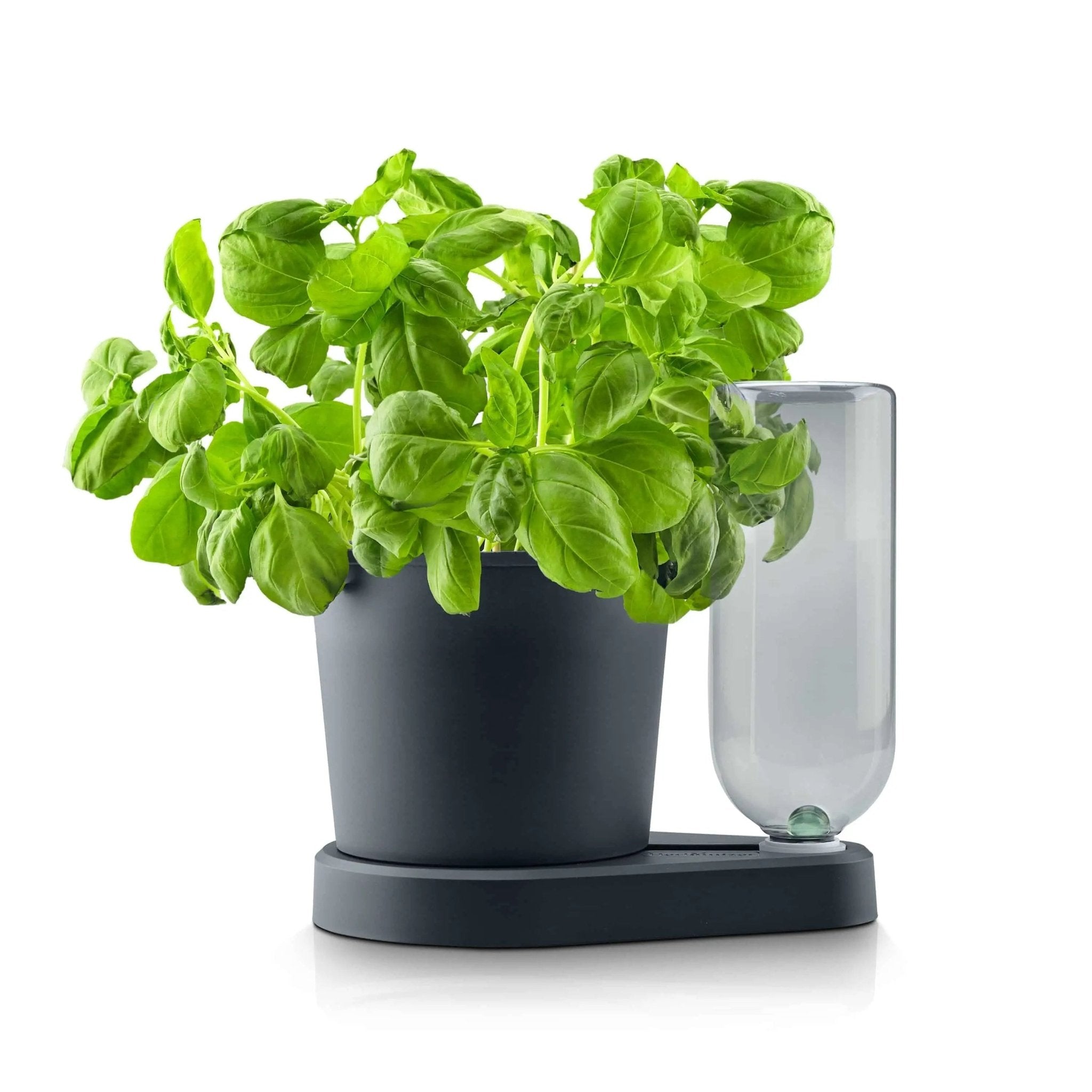 Herbimizer® | Kräutertopf mit automatischem Bewässerungssystem - Wundermix GmbH
